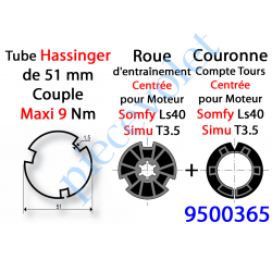 9500365 Jeu d'Adaptation pour Moteur LS 40 ou T 3.5 dans Tube Hassinger ø 51 à Goutte Carrée Couple limité à 9 Nm