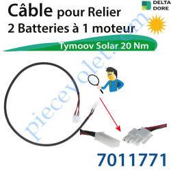 Câble pour relier 2 Batteries à 1 Moteur Delta Dore...